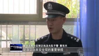 司法老杨,揭秘法律背后的故事与智慧